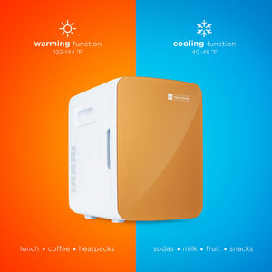 10L Mini Fridge Cooler and Warmer